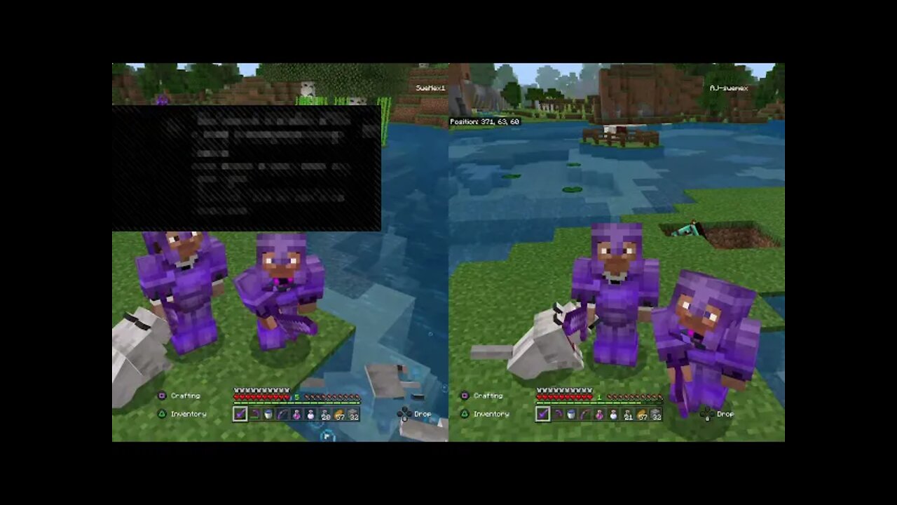 Minecraft beating the ender dragon