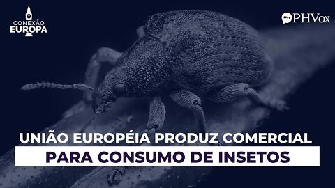 União Europeia planeja dieta à base de insetos e vermes