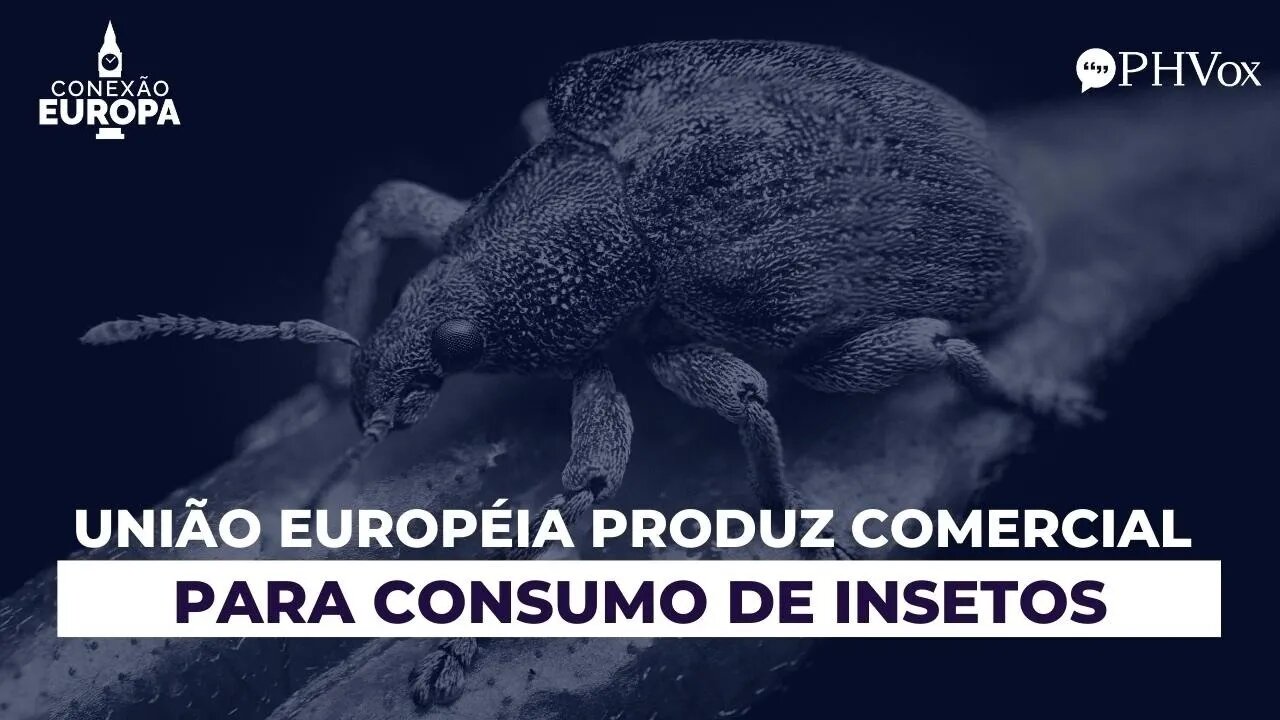 União Europeia planeja dieta à base de insetos e vermes