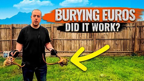 Buried 3 Euro Mounts | Did It Work?