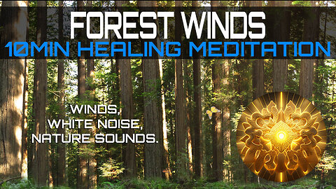 FORESTWINDS 10Mins Healing Meditation With , White Noise, Nature Sounds, Redwoods