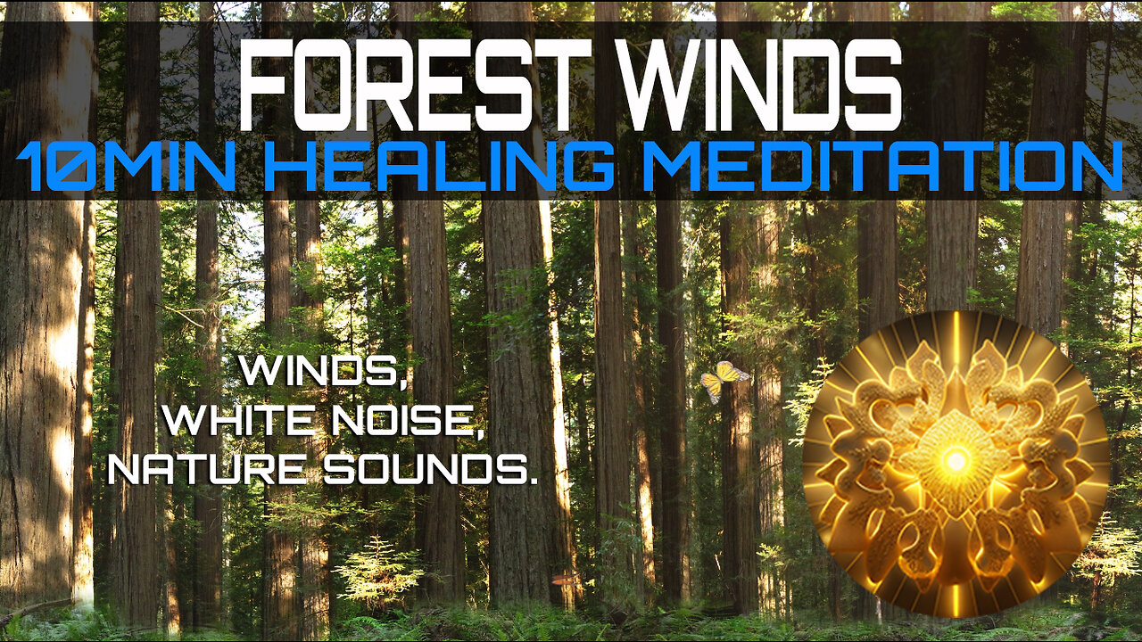 FORESTWINDS 10Mins Healing Meditation With , White Noise, Nature Sounds, Redwoods