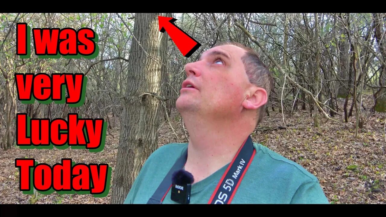 I was very Lucky Today Outdoor Adventure By Rudi Vlog#1890