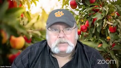 Sandy Simpson's Zoom Bible Study - Love