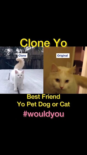 PET CLONING IS HERE!?