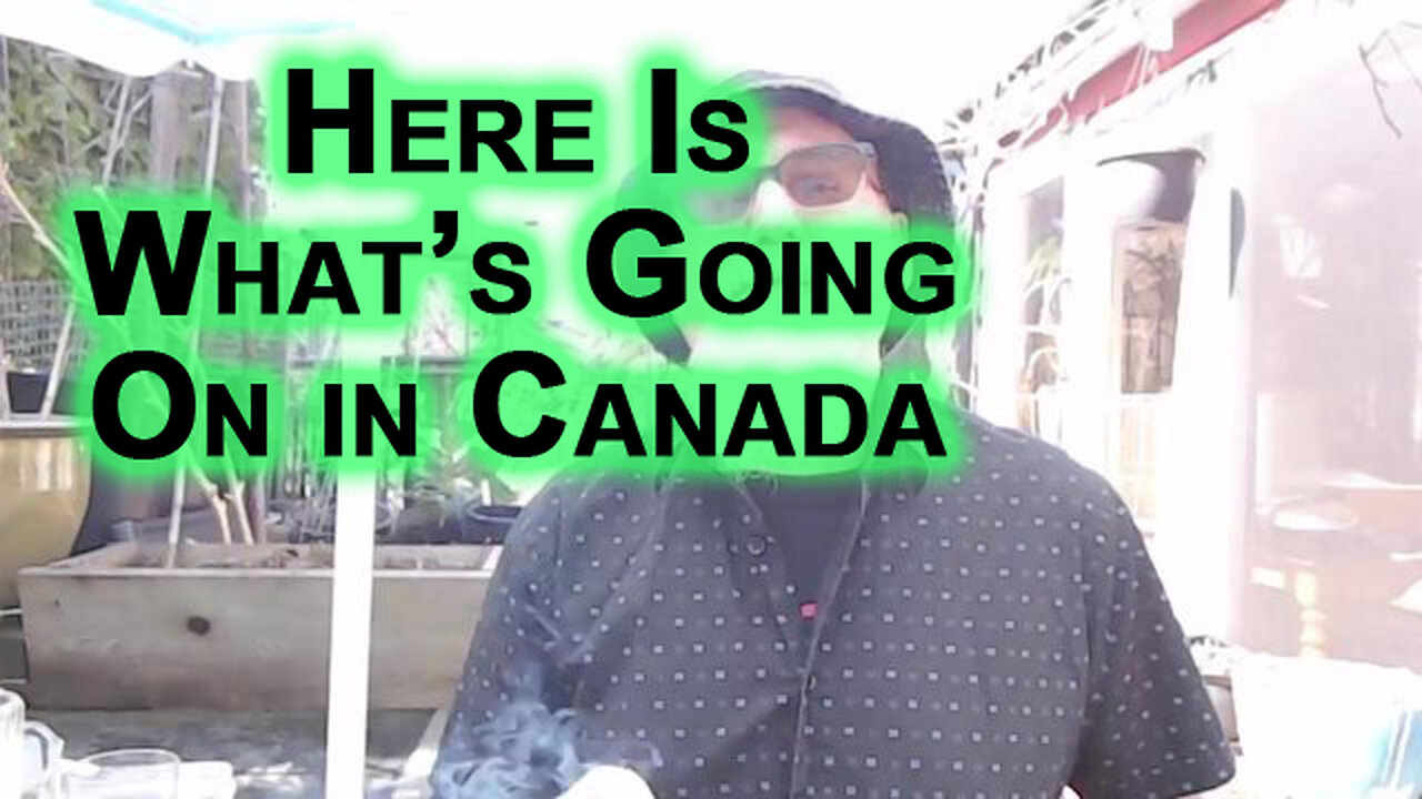 Here Is What’s Going On in Canada: WEF Demolition of Economy Marching Towards Tyranny [SEE LINKS]