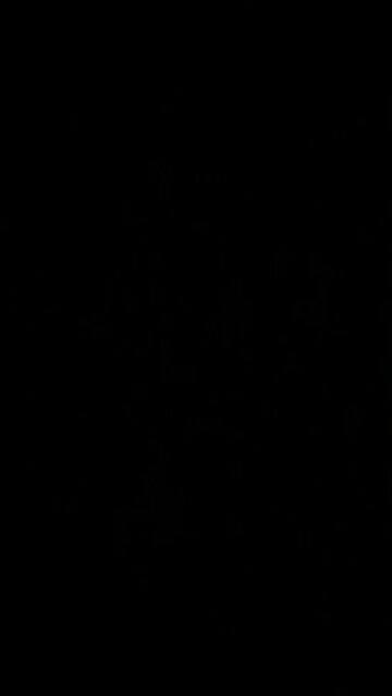 Ostrich with its head in the sand