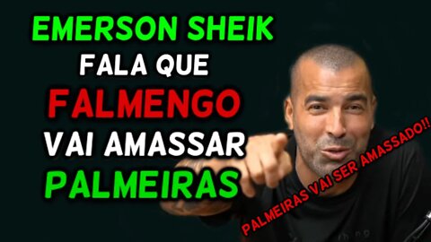 EMERSON SHEIK FALA QUE FLAMENGO VAI AMASSAR PALMEIRAS!!!