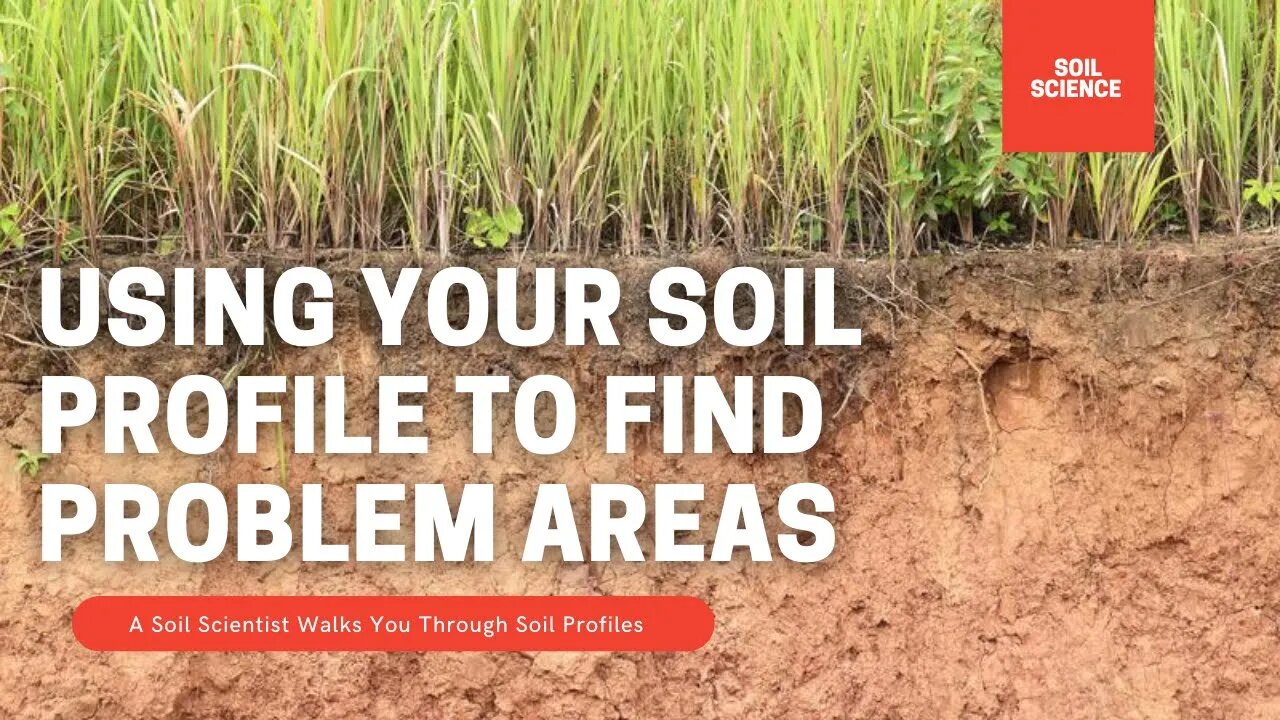 Identifying Soil Issues. How To Use Soil Profiles To Discover Issues Based On Colour & Composition