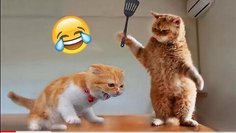 FUNNY ANIMALS VIDEO 2023 🤣🤣 FUNNIEST Funny DOG AND CAT VIDEO 🐈😺🐕