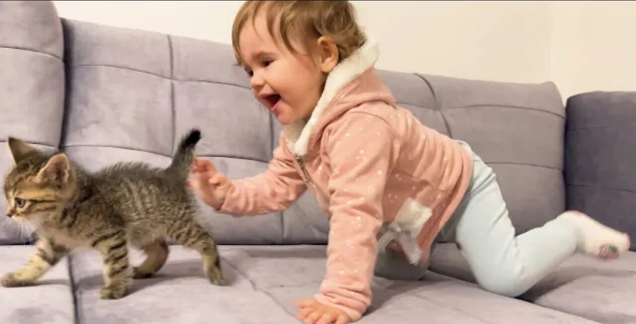 Cute kitty playing with little baby