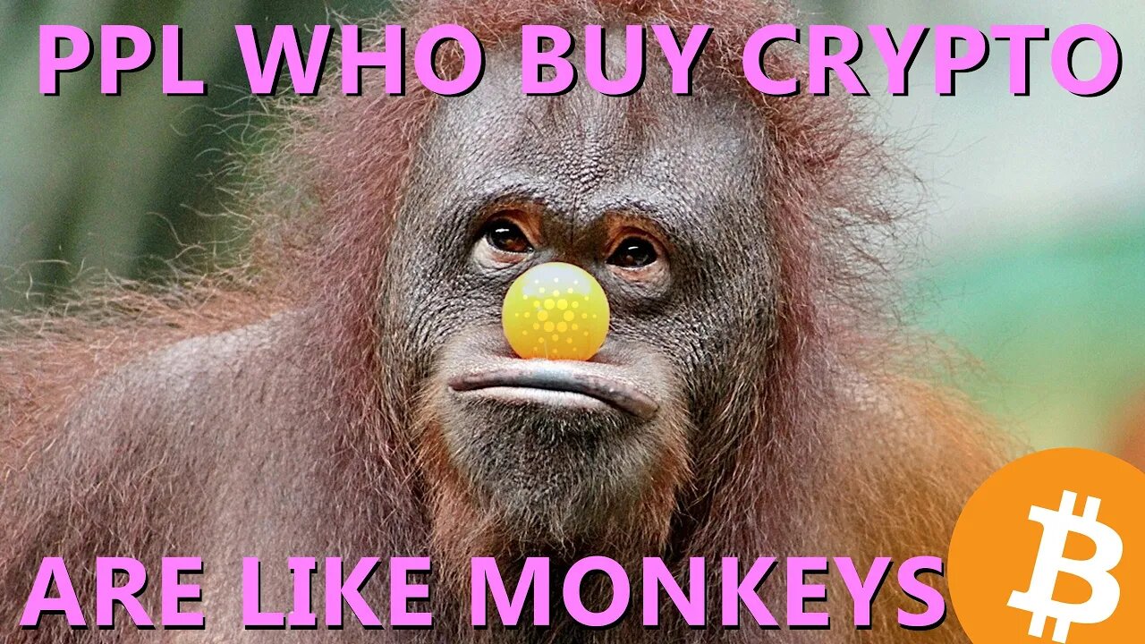 🍌🐵 "PPL WHO BUY CRYPTO ARE LIKE MONKEYS" 🐵🍌