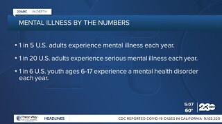 23ABC In-Depth: Mental illness by the numbers