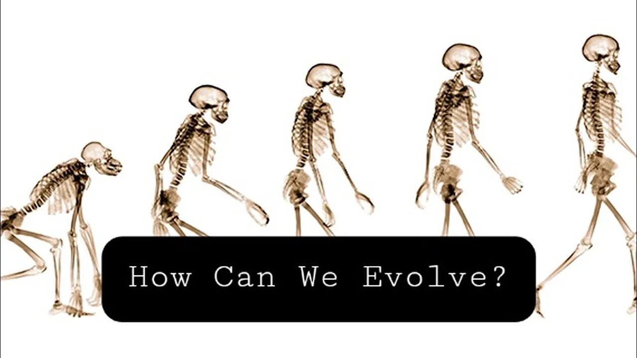 HOW CAN WE EVOLVE?