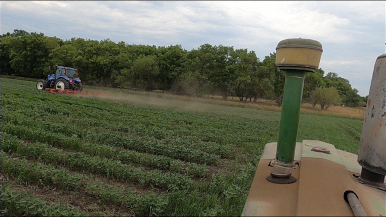 Killing Weeds With With Steel - I Just Made A Stupid Mistake and Finally Here Comes Some Rain!