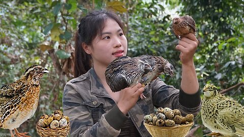 Detecting strange wild birds, trapping skills to catch them, survival alone