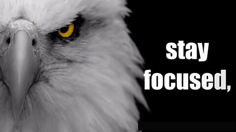 STAY FOCUSED : Best Motivational Video Ever : Motivational Status for Whatsapp