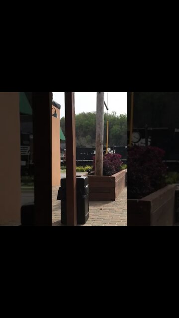 Train Spotting in Bassett Virginia Norfolk Southern