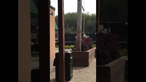 Train Spotting in Bassett Virginia Norfolk Southern