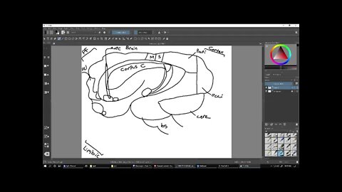 Session 5: Metagame (paint, typing, aimtraining) - - part 7