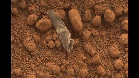 On MARS 3D thing found