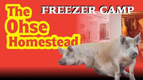 It's Off To Freezer Camp We Go - The Ohse Homestead - VLOG # 46