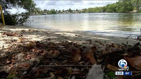 Changing waterfront parks