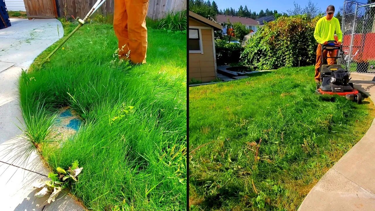 New Homeowner Of My Childhood Home Gets A FREE Lawn Cleanup