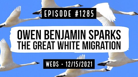 #1285 Owen Benjamin Sparks The Great White Migration