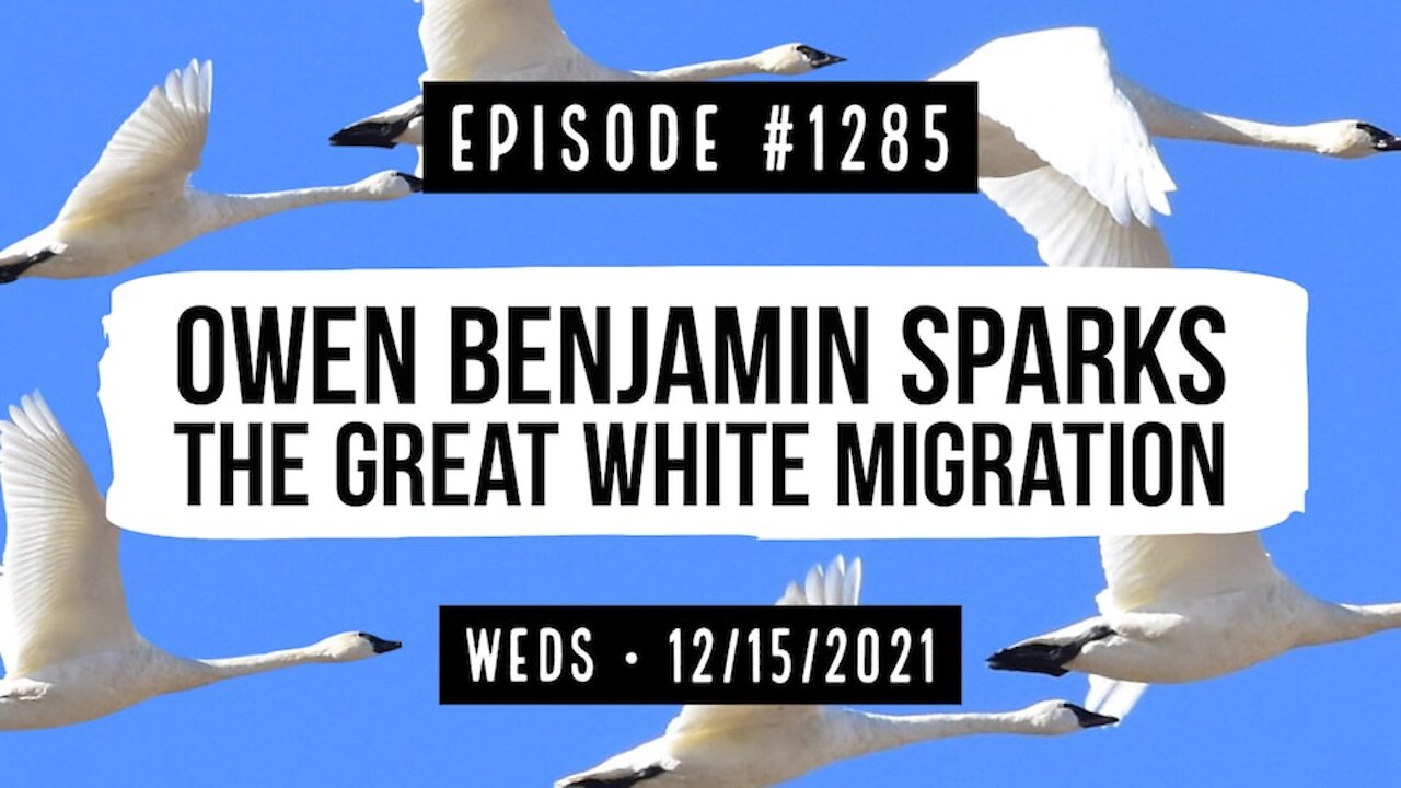 #1285 Owen Benjamin Sparks The Great White Migration