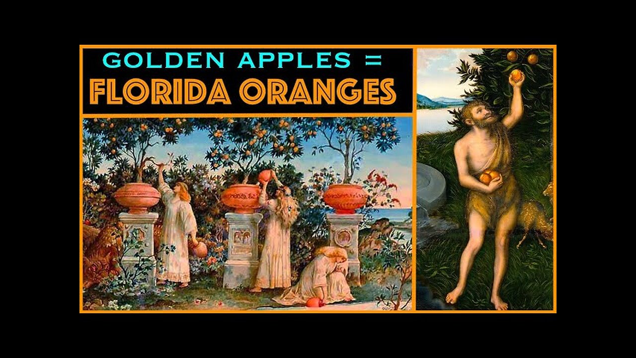 FLORIDA ORANGES ARE THE GOLDEN APPLES OF MYTHOLOGY - Ancient Knowledge OWF#0044