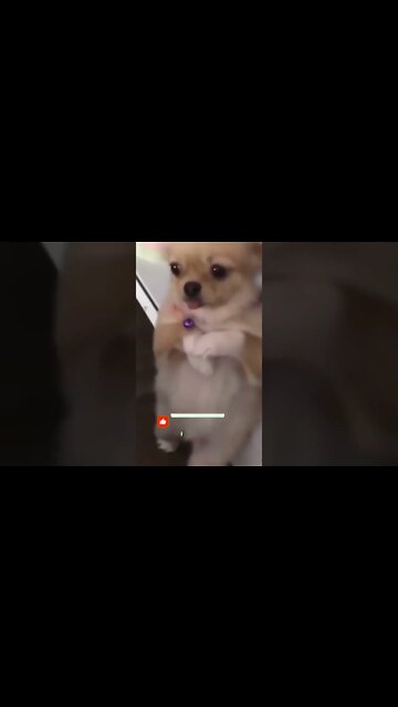 QUANDO VOCÊ TEM MEDO DE INJEÇÃO🤣🤣🤣