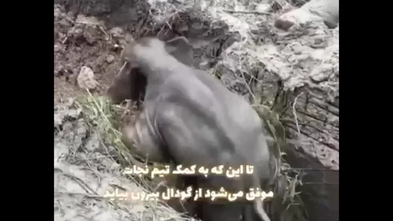 🙄