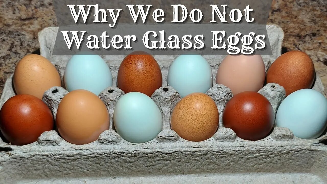 Why We Don't Water Glass Our Eggs Preserving Eggs How To Freeze Eggs Freezing Eggs