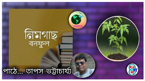 l l গল্প পাঠ l l নিমগাছ l l বনফুল l l তাপস ভট্টাচার্য্য l l Neem gach ll Balaichand Mukhopadhyay ll