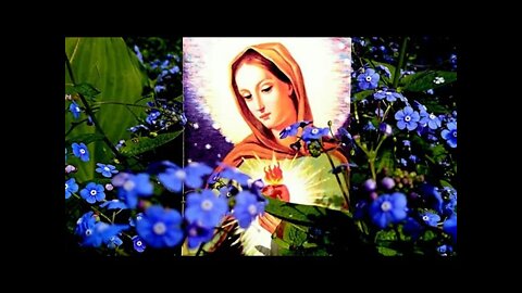 10.4.1962 🔥 🔥 🔥 Mittwoch: Der Tag der Priesterberufe