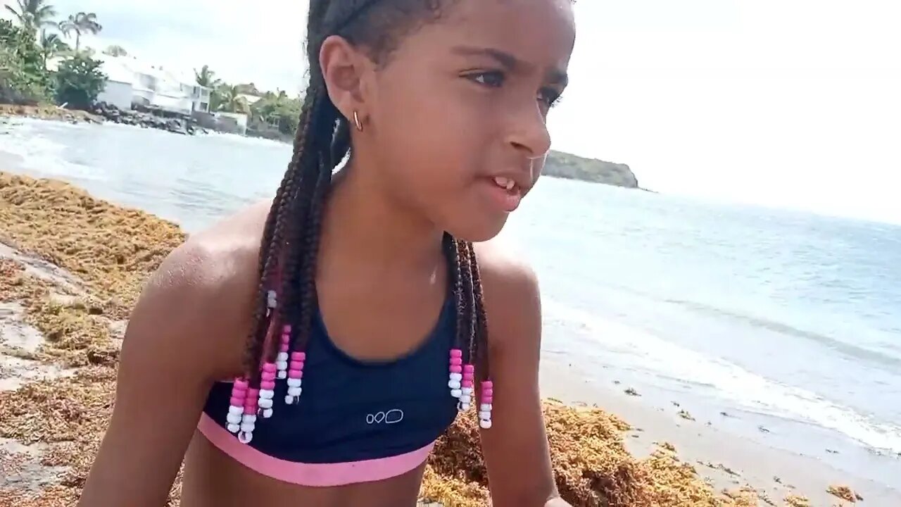 Looking for Shells by the beach - Cercando Conchiglie ai Caraibi - Dieppe Bay, St kitts, Caribbean