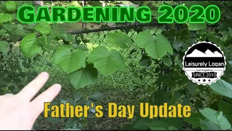 Gardening 2020 - Father's Day Update