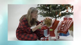 Holiday Shopping for Your Pets