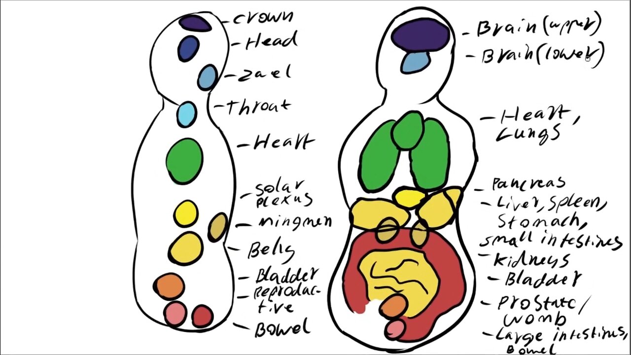 2.1 - Energy centers and organs