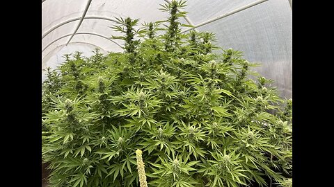 Wake N Bake! 6-23-23