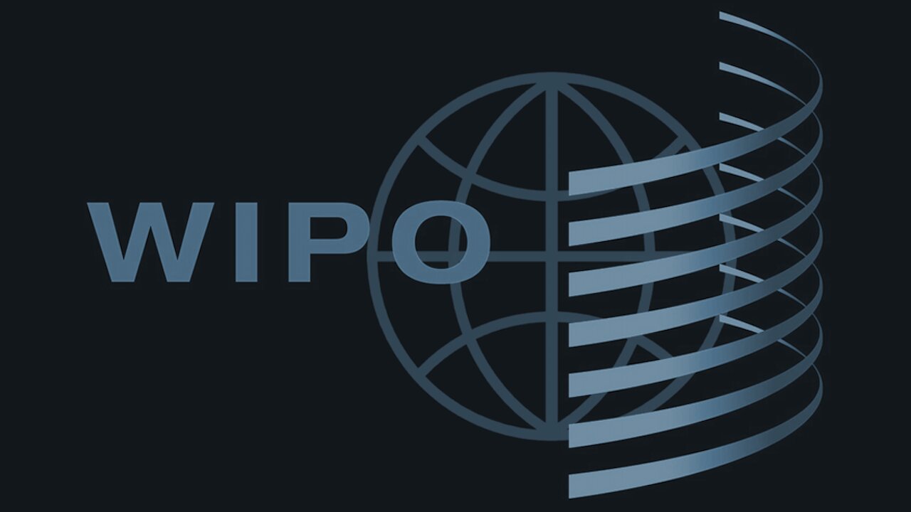 The WIPO Treaty Has Been Adopted