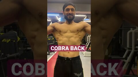 🐍COBRA REPEAT #shorts #cobraback #back