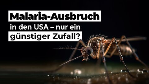 Malaria-Ausbruch in den USA – nur ein günstiger Zufall?