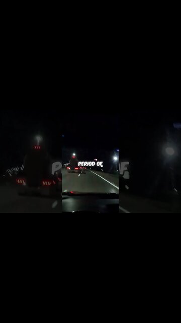 Reddit AITA (Am I the Jerk) Neglecting Cat