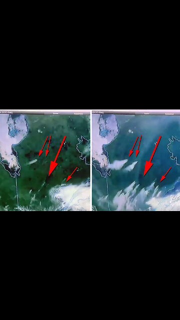 Strange how all these Forest Fires in Canada suddenly started at the SAME TIME! 🌳🔥🤔