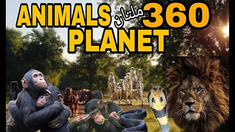 Animals Planet 360 in multan @Lifestylevlog110