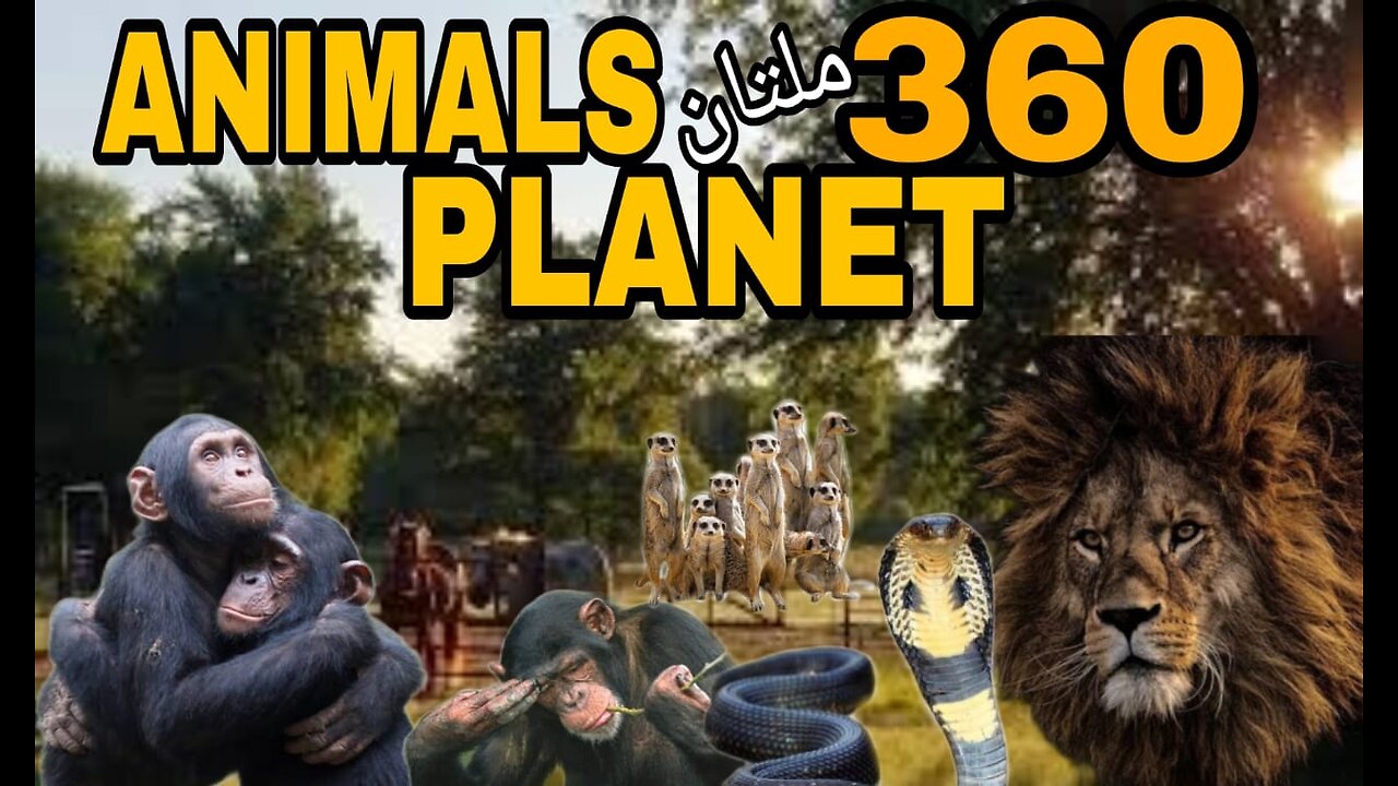 Animals Planet 360 in multan @Lifestylevlog110