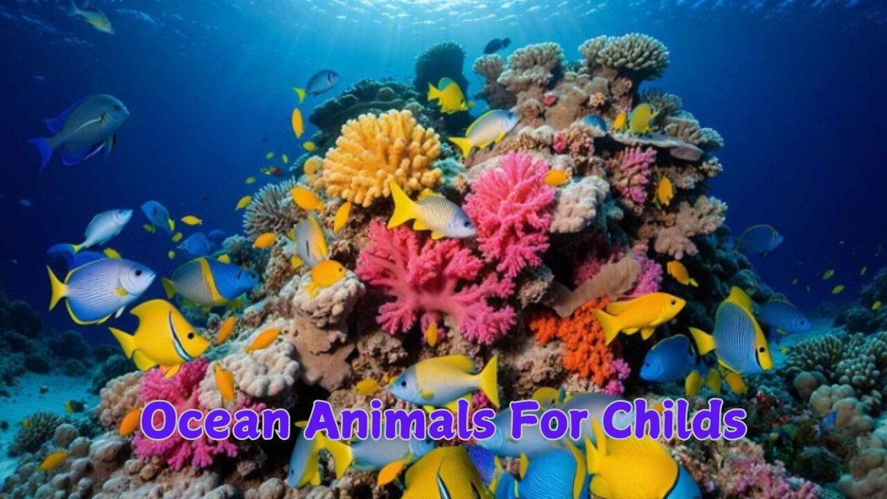 Ocean Animals for Childs | Learn all about the Animals and Plants that Live in the Ocean