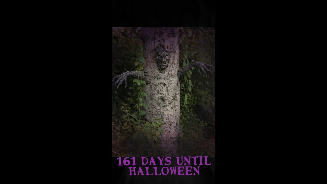 Todays Halloween Countdown 161 Days